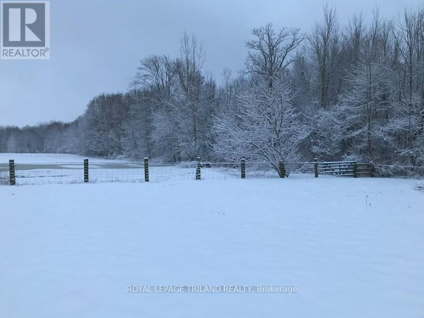24909 Queens Line, West Elgin, Ontario  N0L 2P0 - Photo 26 - X13041916