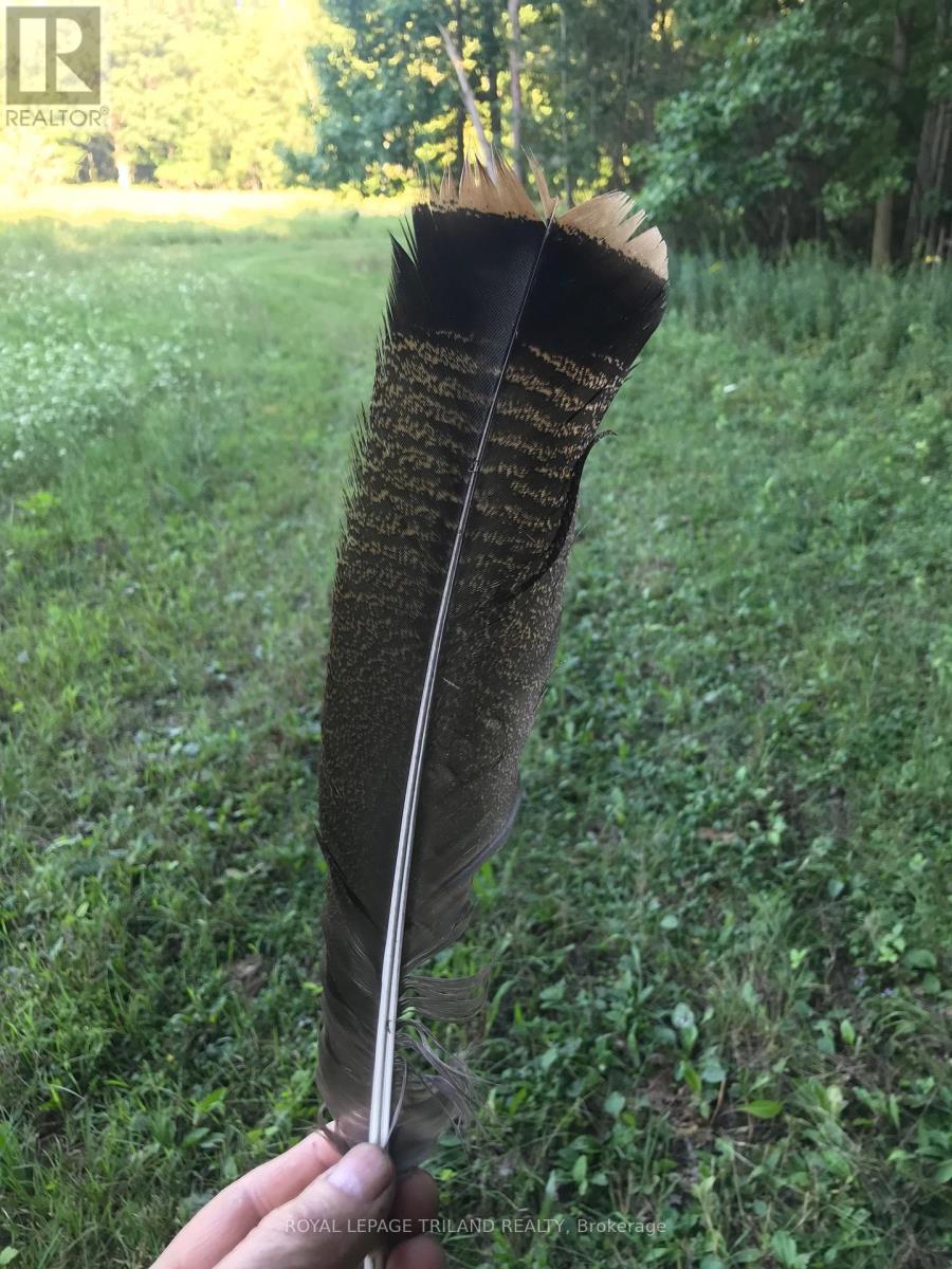 24909 Queens Line, West Elgin, Ontario  N0L 2P0 - Photo 32 - X13041916