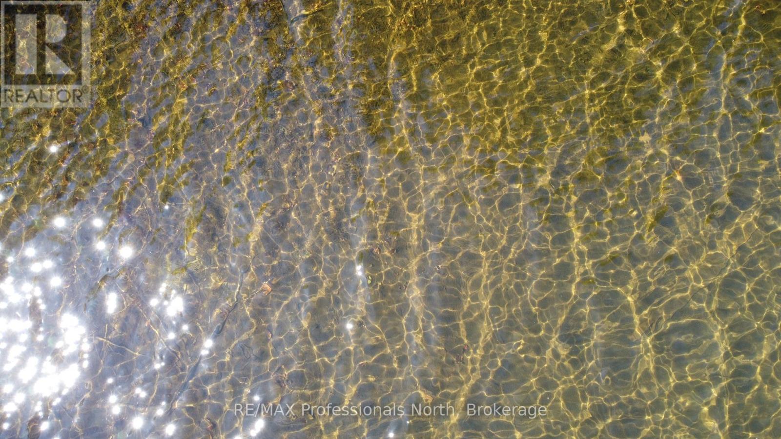 15180 Highway 118 Highway, Dysart Et Al, Ontario  K0M 1S0 - Photo 7 - X13044784