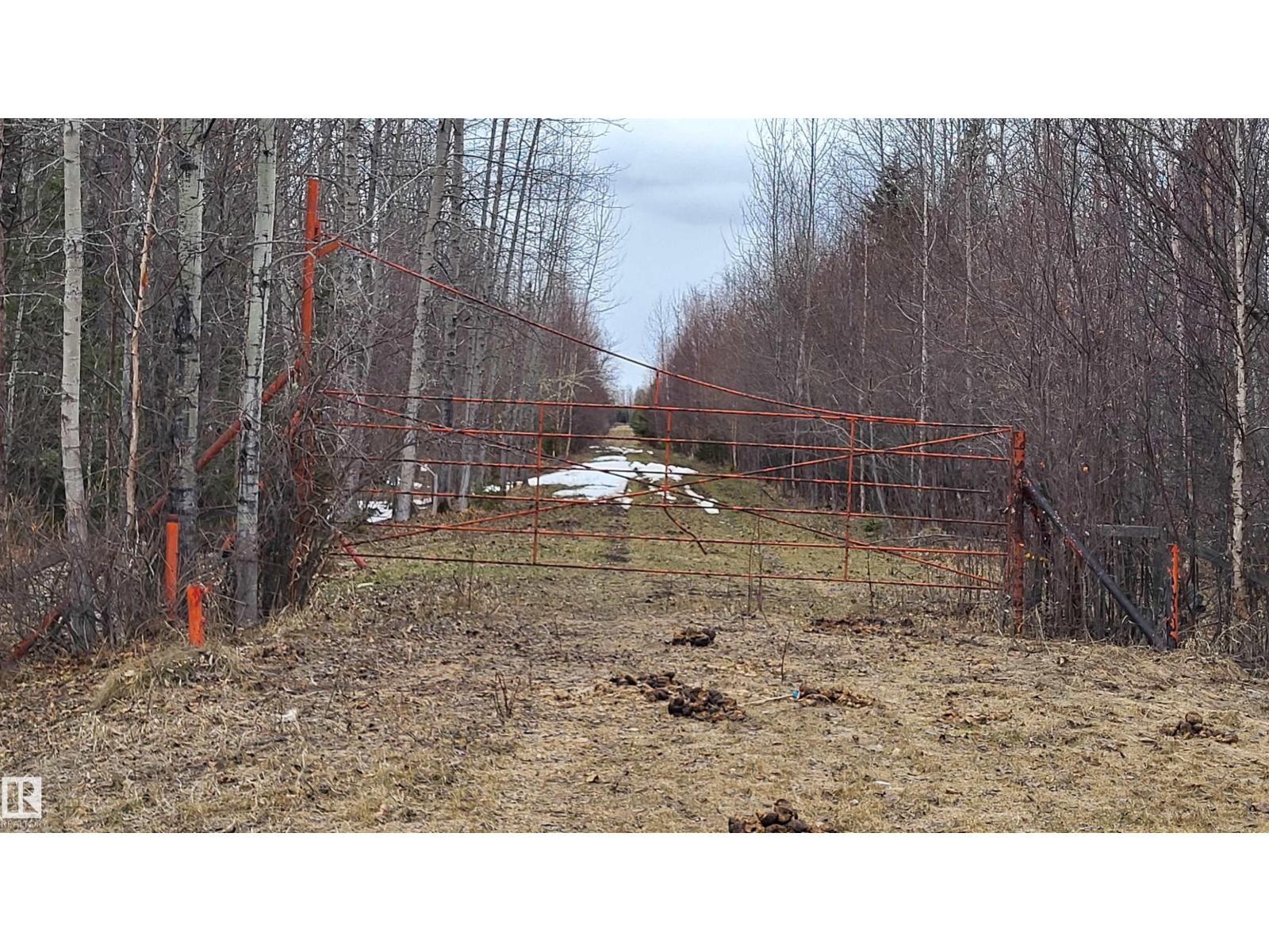 48030 Range Road 84, Rural Brazeau County, Alberta  T7A 2A1 - Photo 63 - E4484172