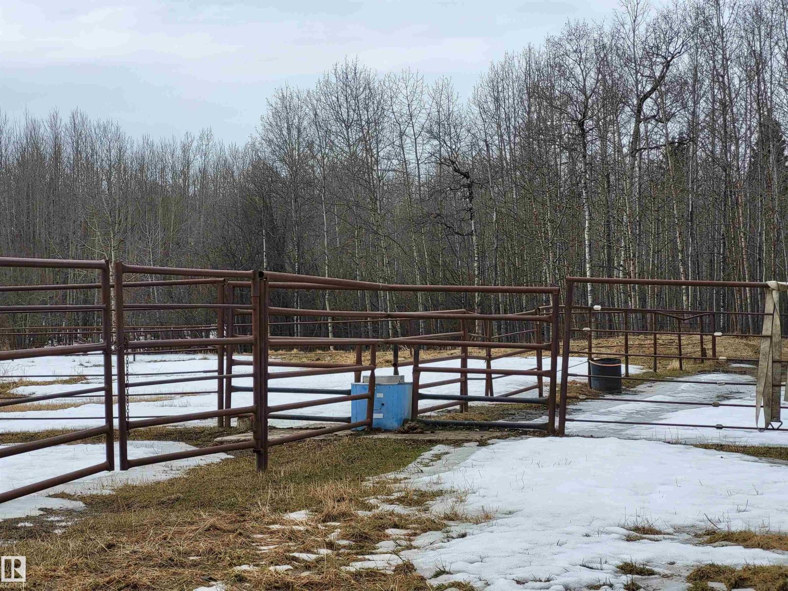 48030 Range Road 84, Rural Brazeau County, Alberta  T7A 2A1 - Photo 12 - E4484172