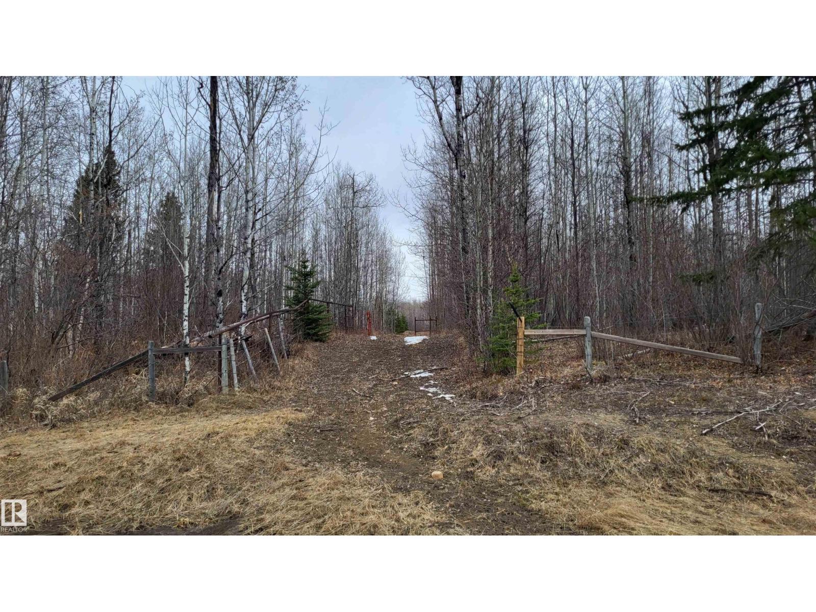 48030 Range Road 84, Rural Brazeau County, Alberta  T7A 2A1 - Photo 67 - E4484172