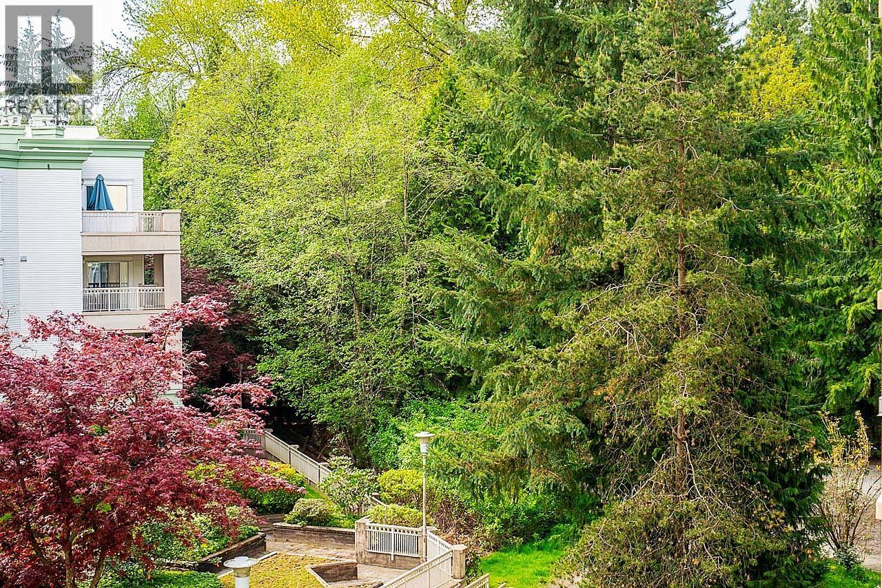 316 2985 Princess Crescent, Coquitlam, British Columbia  V3B 7P3 - Photo 6 - R3114798