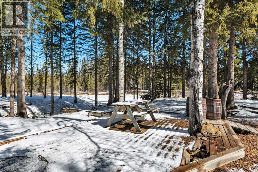 117 James River, Rural Clearwater County, Alberta  T0M 1C0 - Photo 48 - A2299137