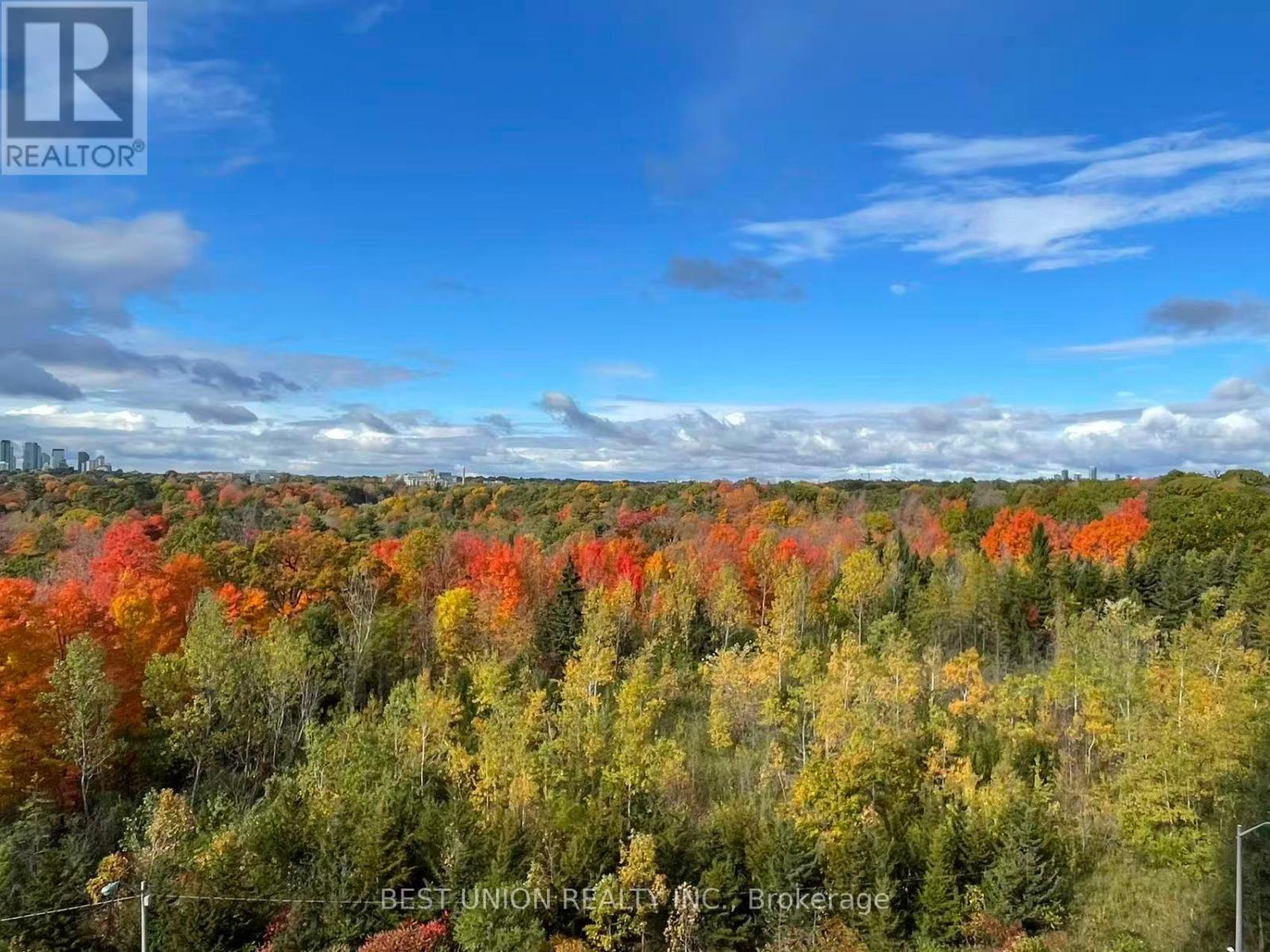 602 - 10 Inn On The Park Drive, Toronto, Ontario  M3C 0P9 - Photo 21 - C12998984
