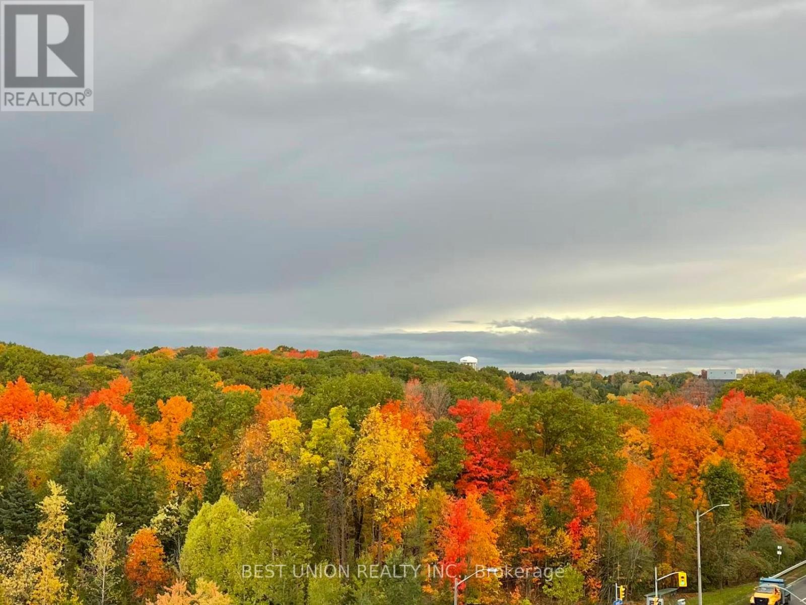 602 - 10 Inn On The Park Drive, Toronto, Ontario  M3C 0P9 - Photo 23 - C12998984