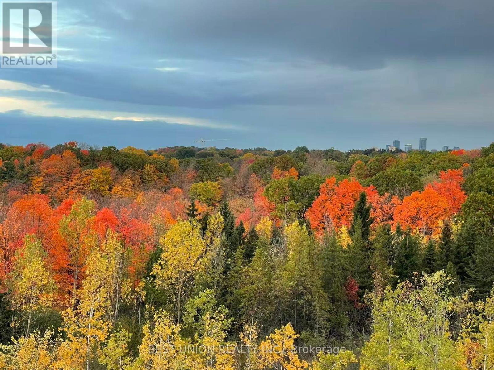 602 - 10 Inn On The Park Drive, Toronto, Ontario  M3C 0P9 - Photo 22 - C12998984