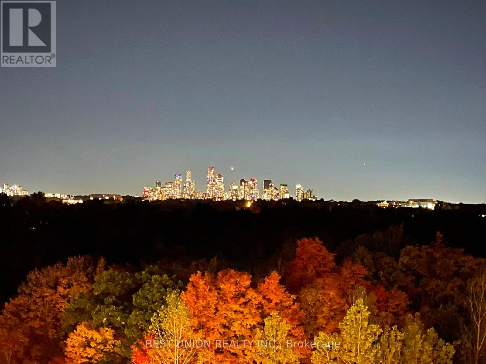 602 - 10 Inn On The Park Drive, Toronto, Ontario  M3C 0P9 - Photo 28 - C12998984