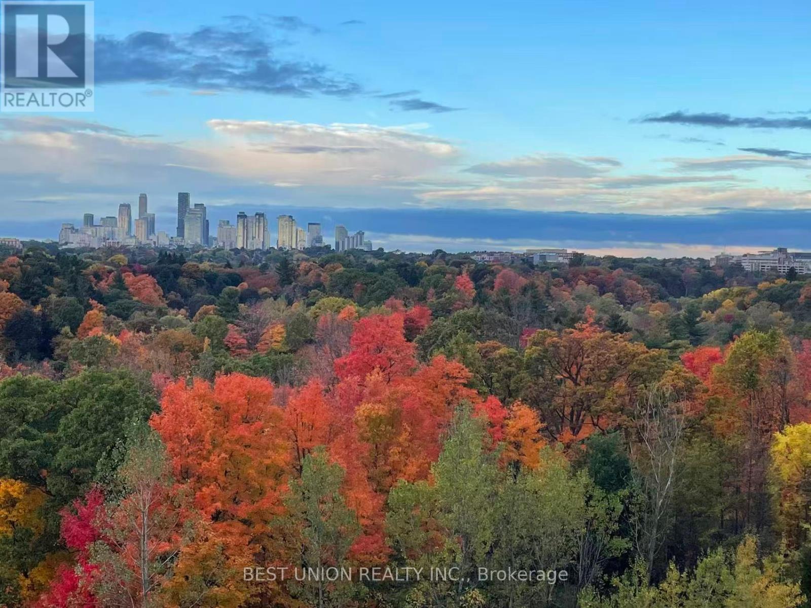 602 - 10 Inn On The Park Drive, Toronto, Ontario  M3C 0P9 - Photo 19 - C12998984