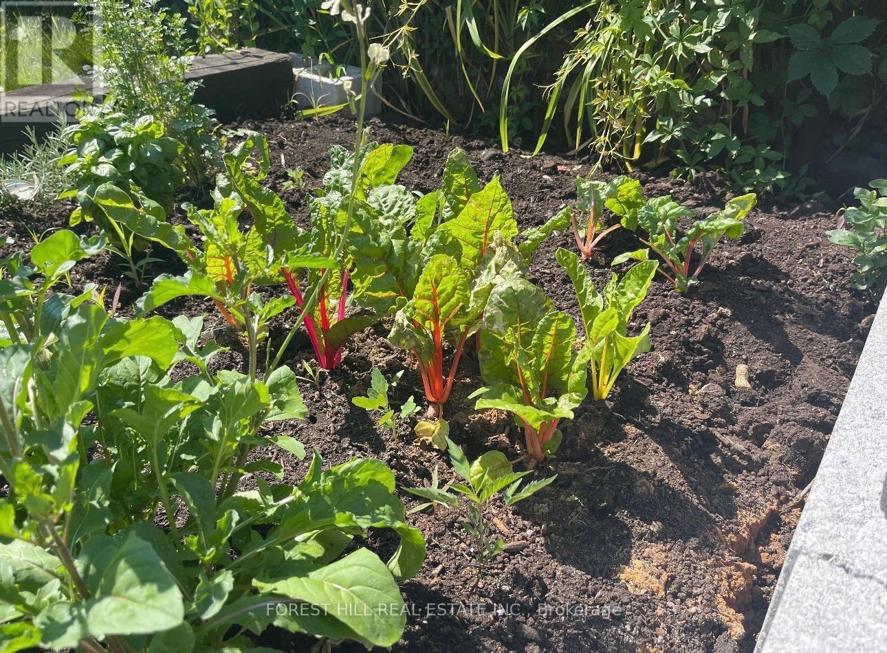 212 Gibson Avenue, Hamilton, Ontario  L8L 6K1 - Photo 37 - X12864148