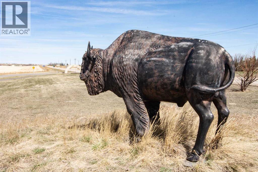 225004 222 Twp Rd, Rural Wheatland County, Alberta  T0J 1N0 - Photo 30 - A2304583