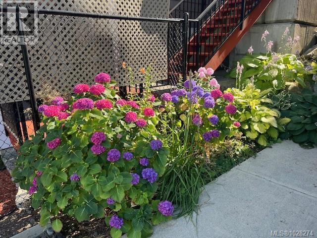 916 Hanington Rd, Ladysmith, British Columbia  V9G 0A4 - Photo 80 - 1028274