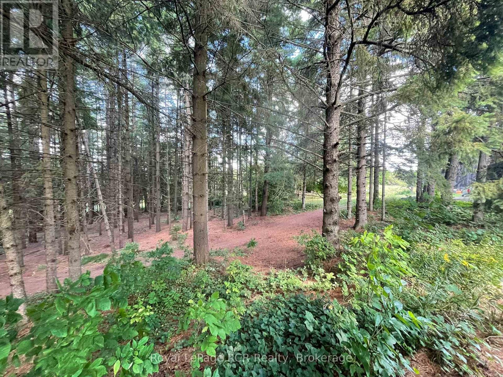 1922 Concession 4 Road, Adjala-Tosorontio, Ontario  L0G 1L0 - Photo 32 - N13044890