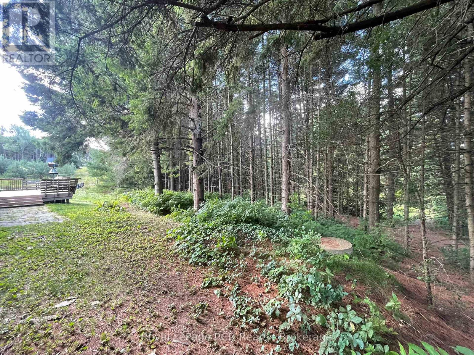 1922 Concession 4 Road, Adjala-Tosorontio, Ontario  L0G 1L0 - Photo 34 - N13044890