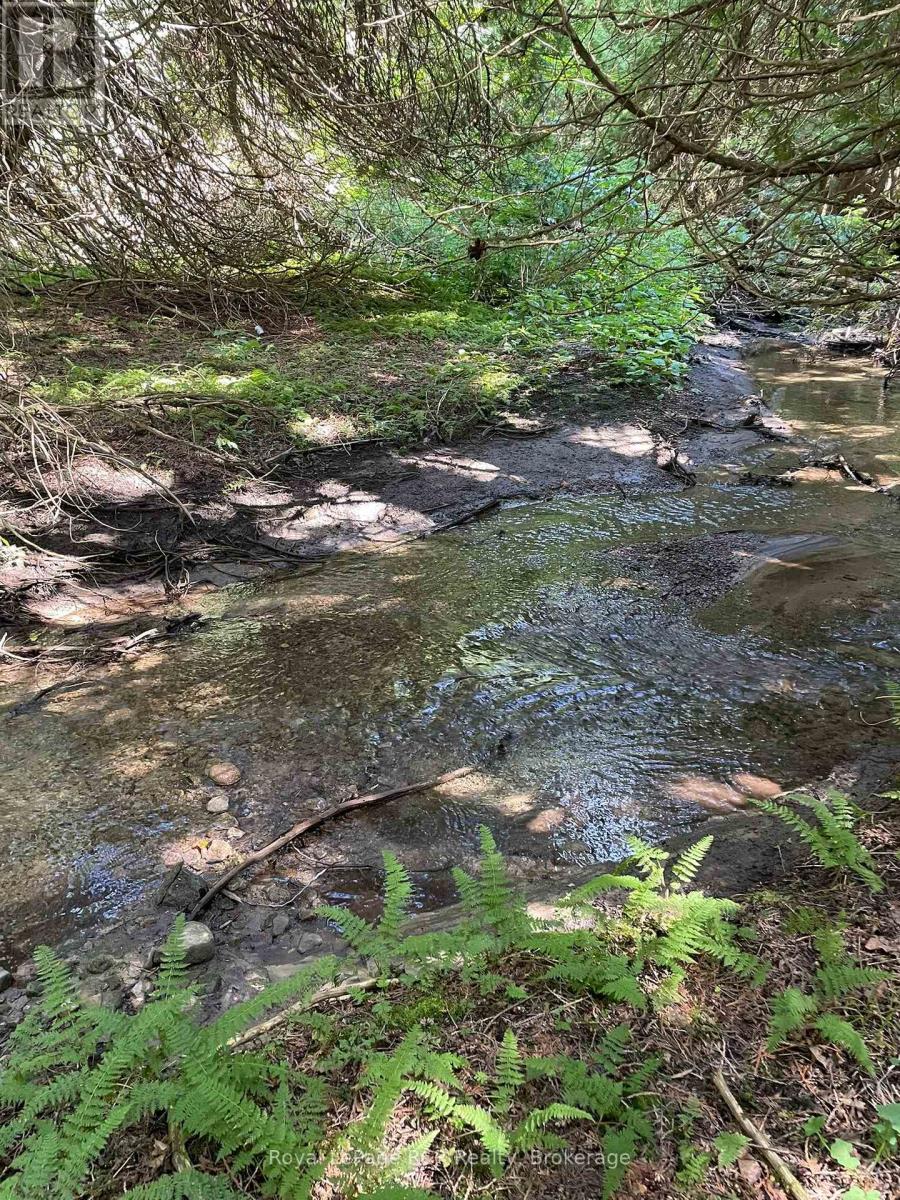 1922 Concession 4 Road, Adjala-Tosorontio, Ontario  L0G 1L0 - Photo 39 - N13044890