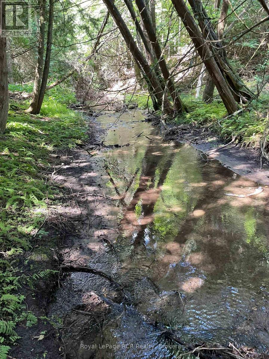 1922 Concession 4 Road, Adjala-Tosorontio, Ontario  L0G 1L0 - Photo 5 - N13044890