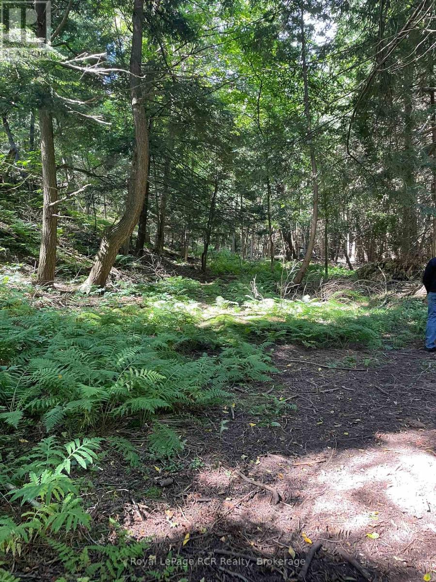 1922 Concession 4 Road, Adjala-Tosorontio, Ontario  L0G 1L0 - Photo 6 - N13044890