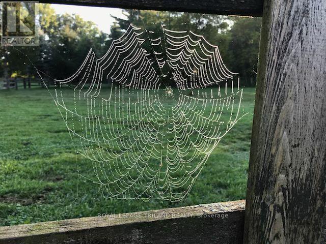 24909 Queens Line, West Elgin, Ontario  N0L 2P0 - Photo 33 - X13041916