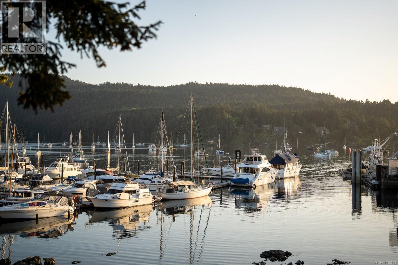 860 Verdier Ave, Central Saanich, British Columbia  V8M 1C5 - Photo 57 - 1033388