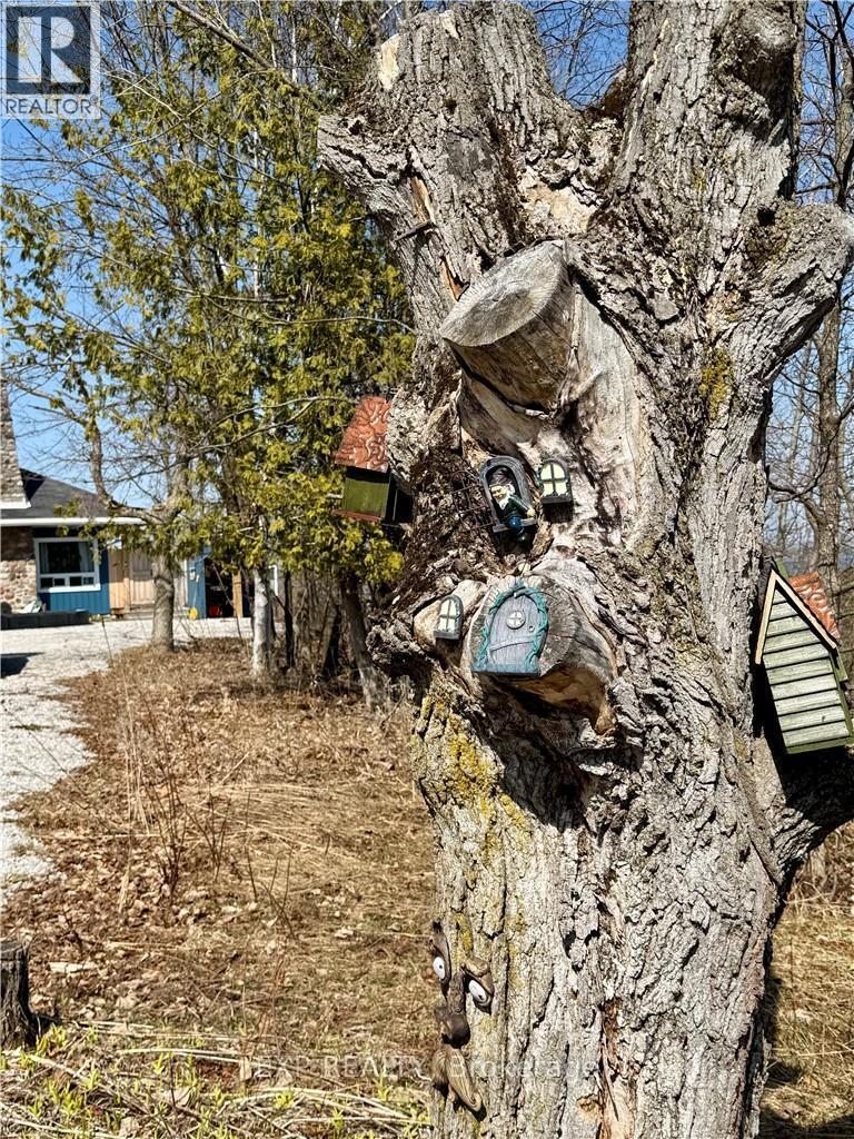 50 Scotts Bluff, Burpee & Mills, Ontario  P0P 1E0 - Photo 2 - X13044936