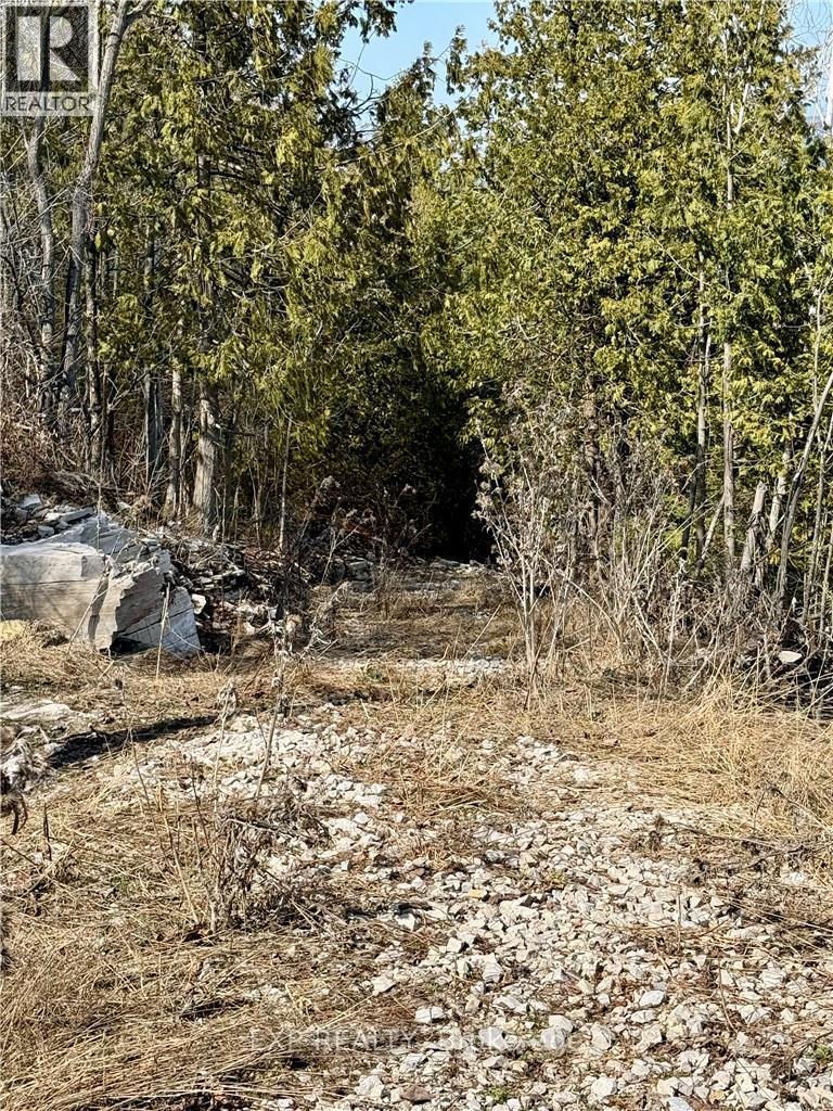 50 Scotts Bluff, Burpee & Mills, Ontario  P0P 1E0 - Photo 4 - X13044936