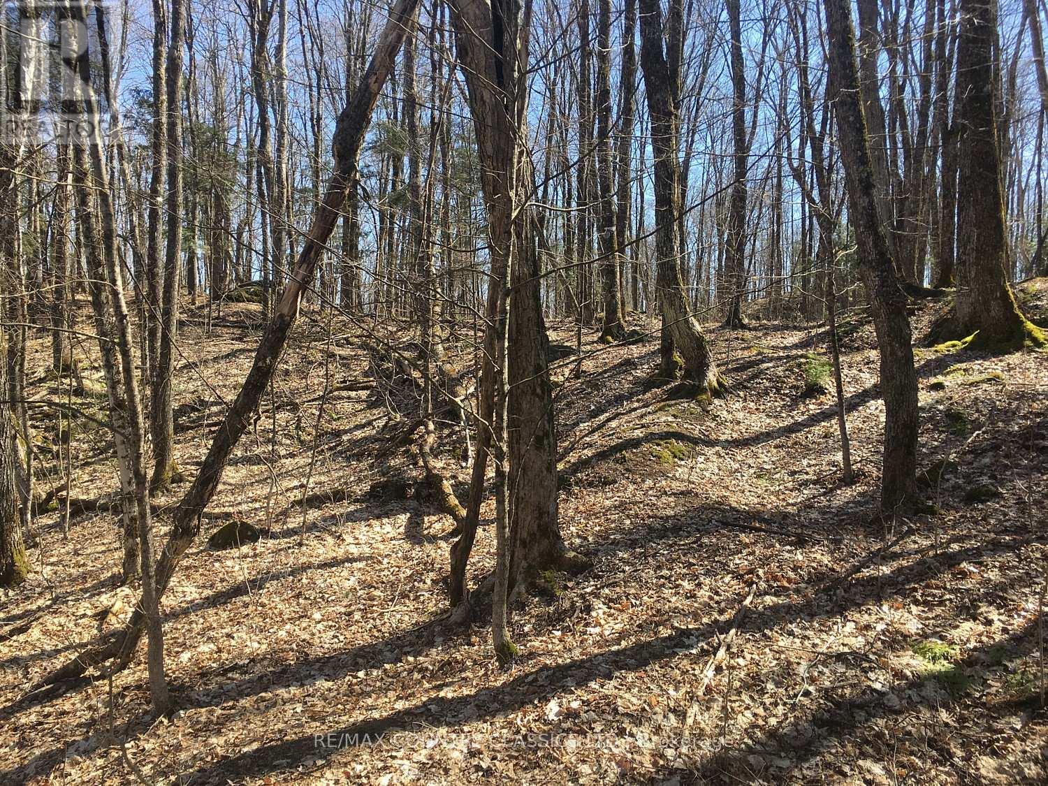 5192 Hwy 620, Wollaston, Ontario  K0L 1P0 - Photo 3 - X13042012