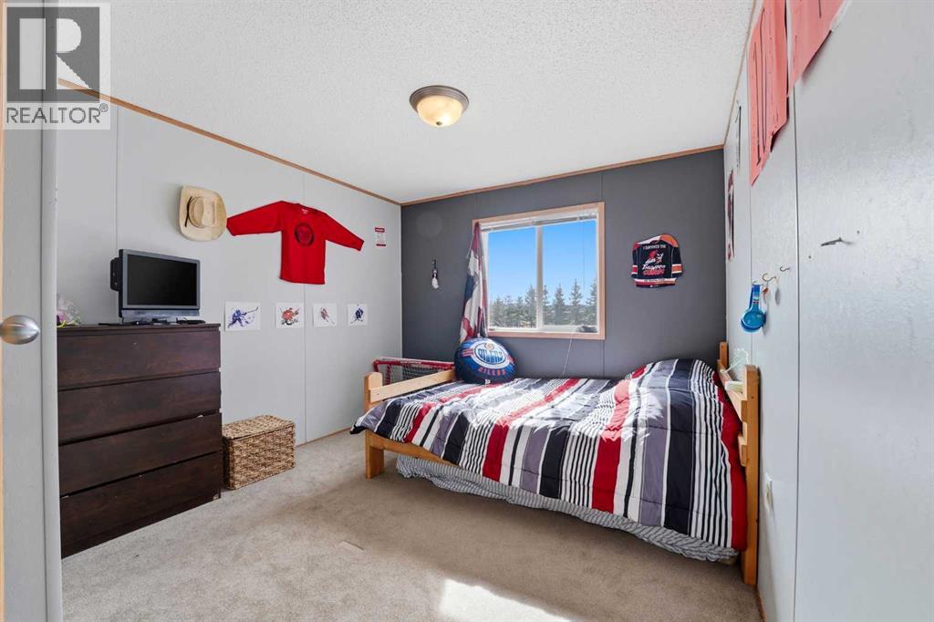 373004 Range Road 6-3, Rural Clearwater County, Alberta  T4T 2A3 - Photo 13 - A2304571