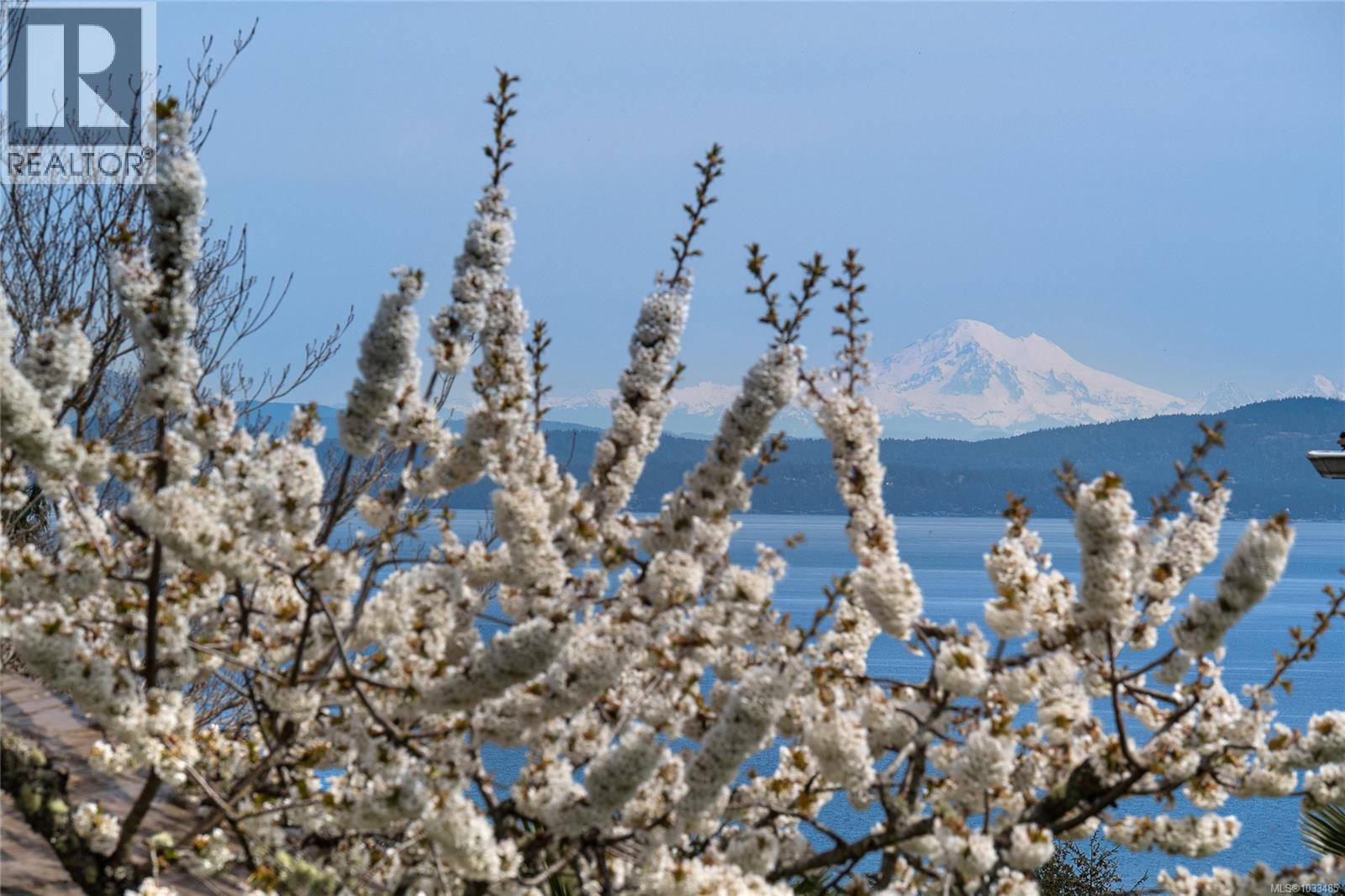 805 Yole Pl, Saanich, British Columbia  V8Y 3B1 - Photo 2 - 1033485