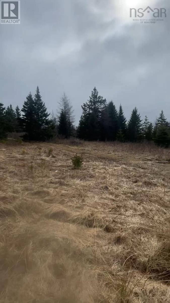 Unknown Address, ,    - Photo 14 - 202604572