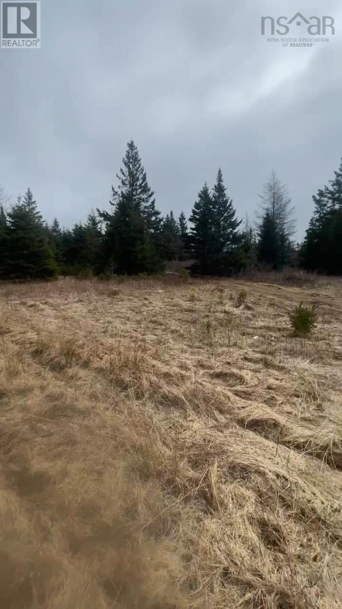 Unknown Address, ,    - Photo 13 - 202604572