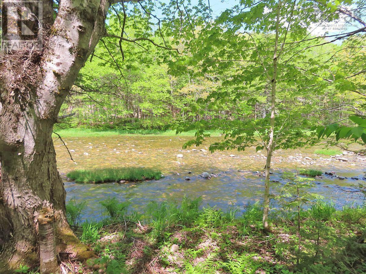 3 Lots Gold Brook Road, Upper Middle River, Nova Scotia  B0E 1B0 - Photo 12 - 202426003