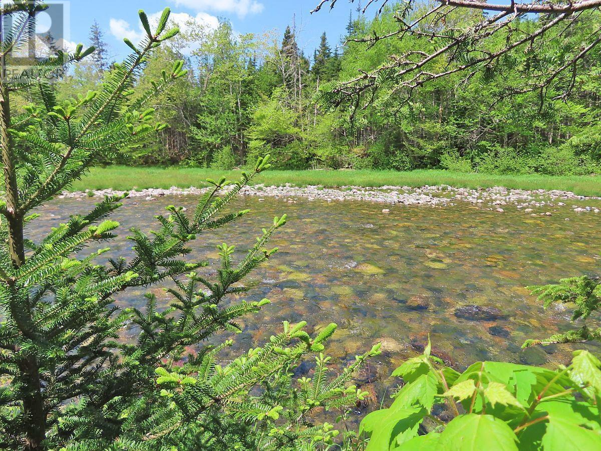 3 Lots Gold Brook Road, Upper Middle River, Nova Scotia  B0E 1B0 - Photo 11 - 202426003