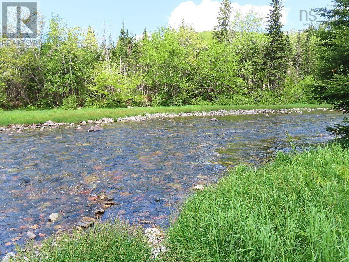 3 Lots Gold Brook Road, Upper Middle River, Nova Scotia  B0E 1B0 - Photo 15 - 202426003