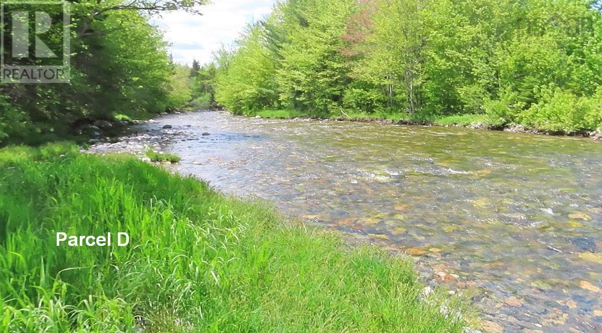 3 Lots Gold Brook Road, Upper Middle River, Nova Scotia  B0E 1B0 - Photo 16 - 202426003