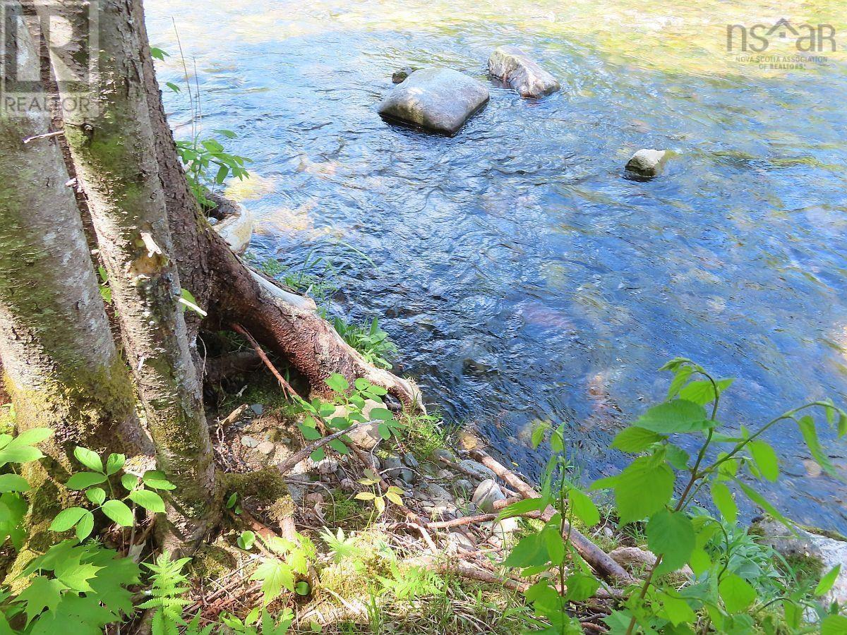 3 Lots Gold Brook Road, Upper Middle River, Nova Scotia  B0E 1B0 - Photo 7 - 202426003