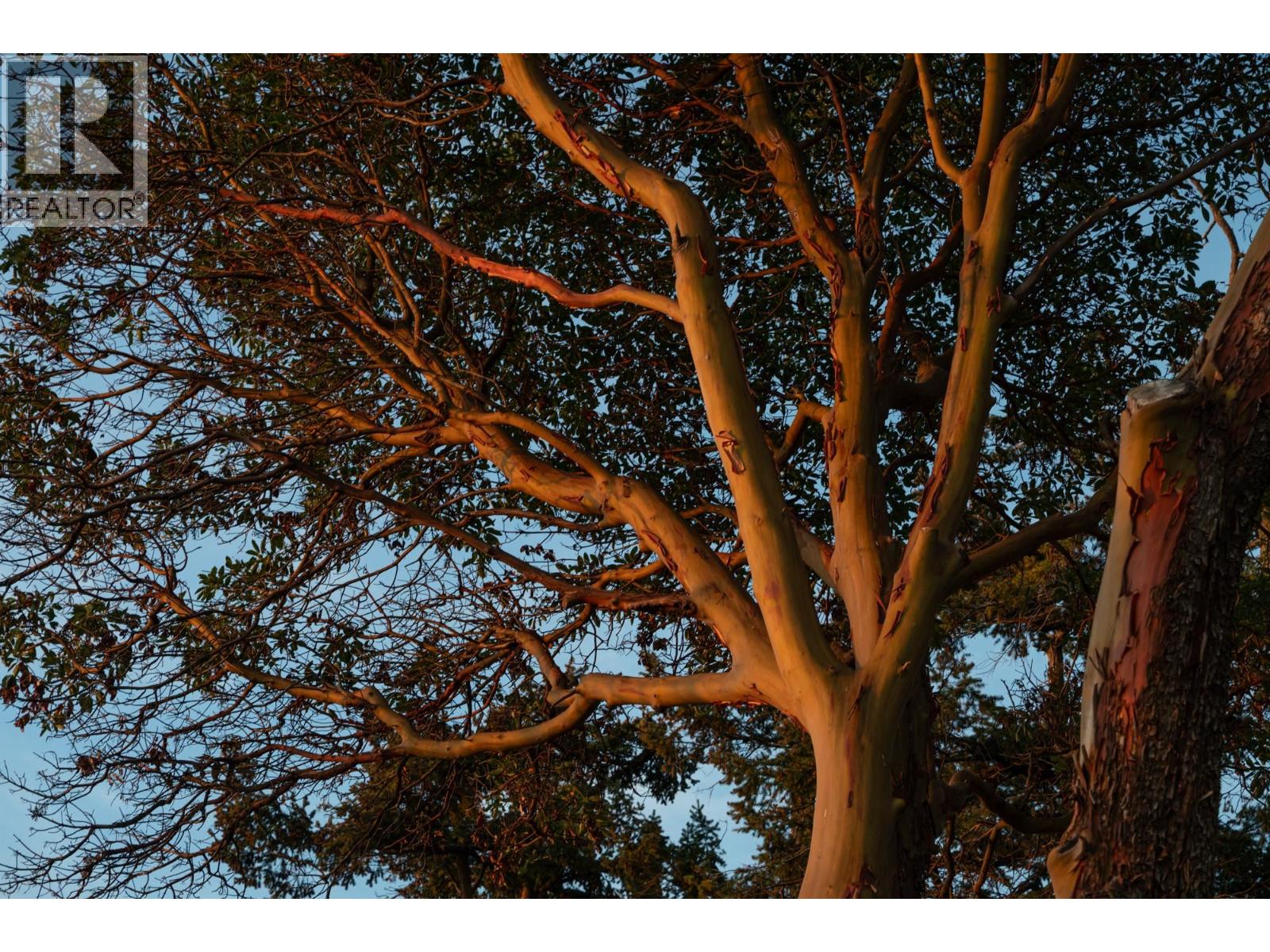 581 Bayview Drive, Mayne Island, British Columbia  V0N 2J1 - Photo 30 - R3100384