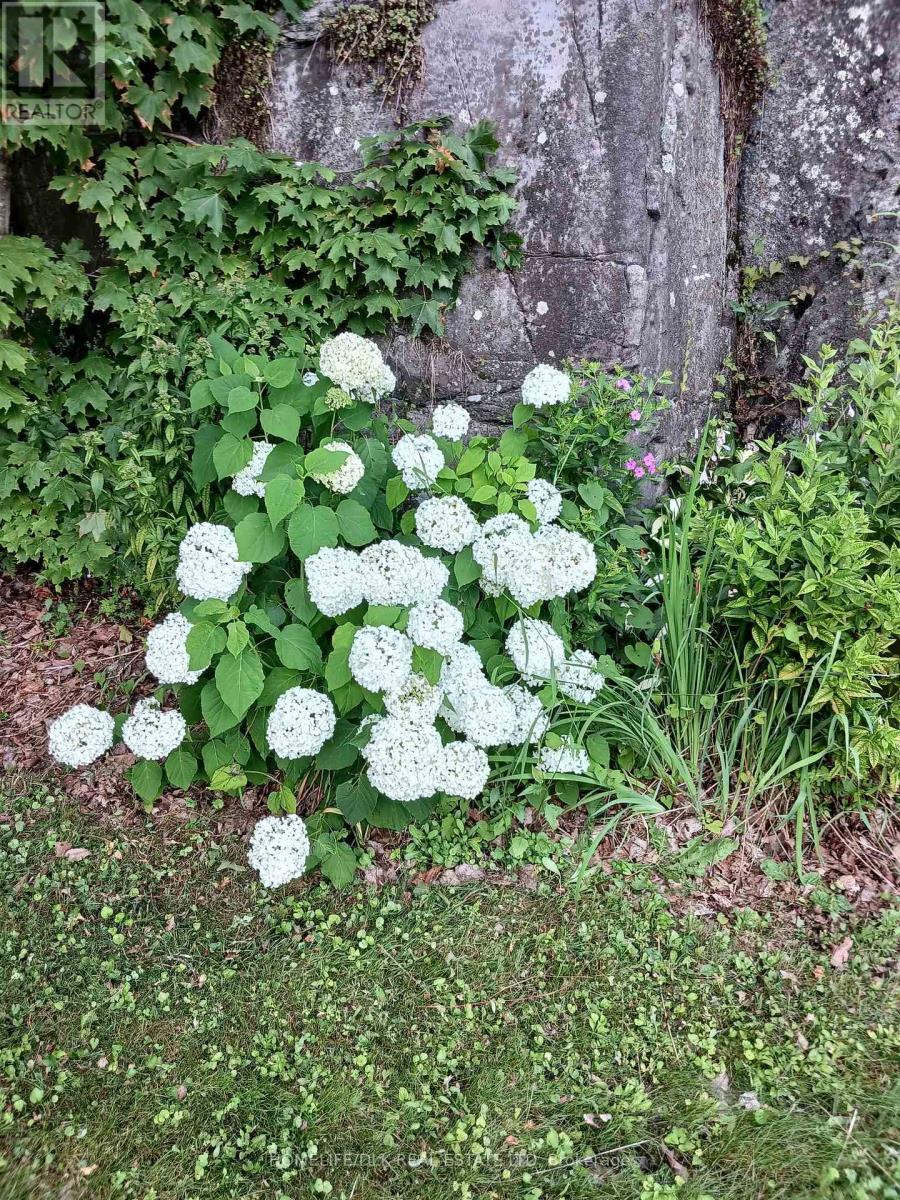 10 Oak Crescent, Brockville, Ontario  K6V 5R6 - Photo 37 - X13045264