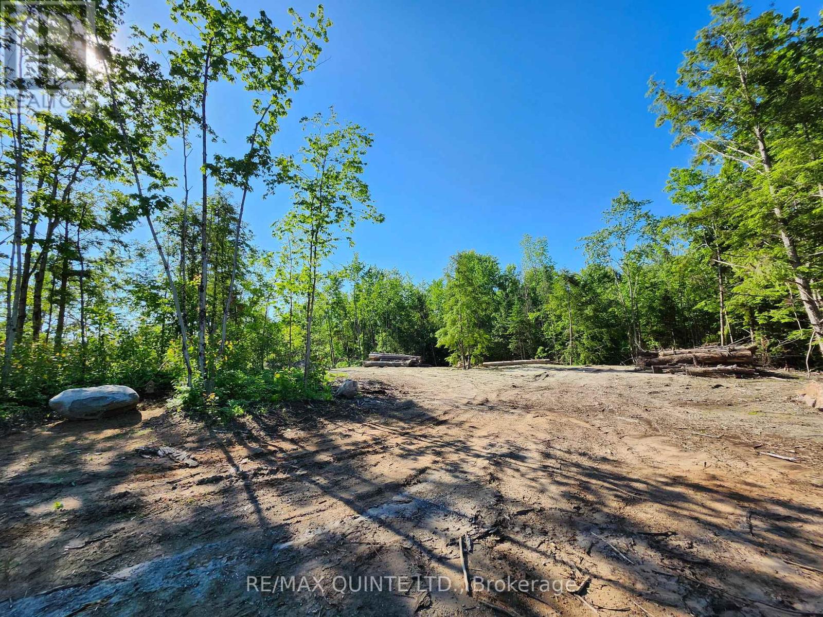 128 Varty Road, Tweed, Ontario  K0K 3J0 - Photo 1 - X12918228