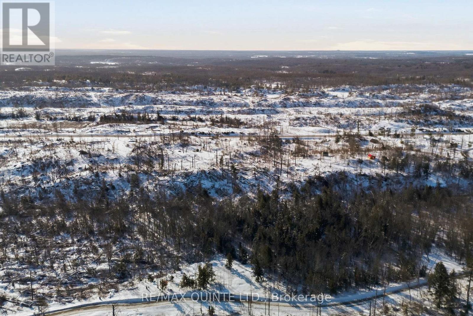 128 Varty Road, Tweed, Ontario  K0K 3J0 - Photo 5 - X12918228