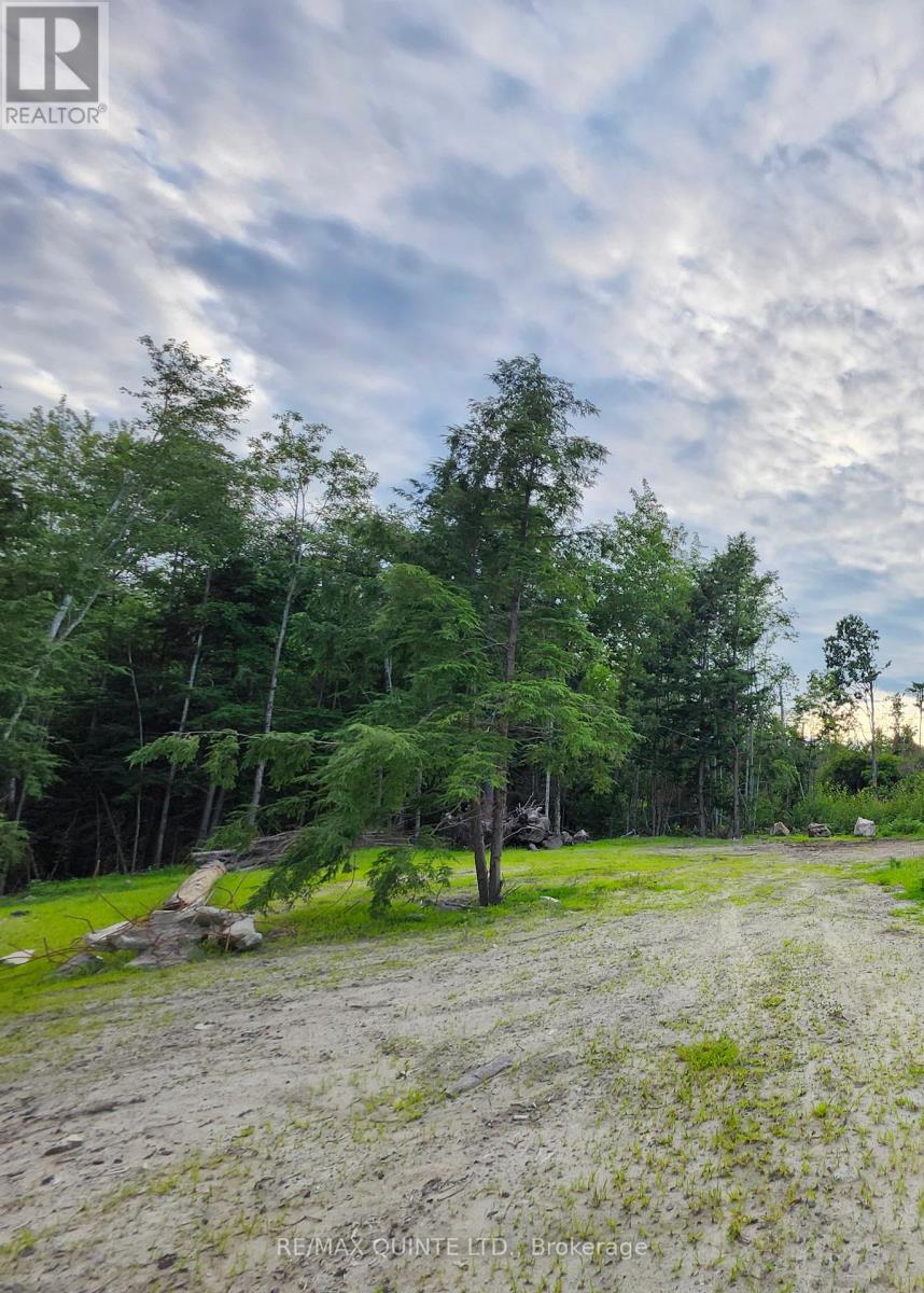 128 Varty Road, Tweed, Ontario  K0K 3J0 - Photo 2 - X12918228