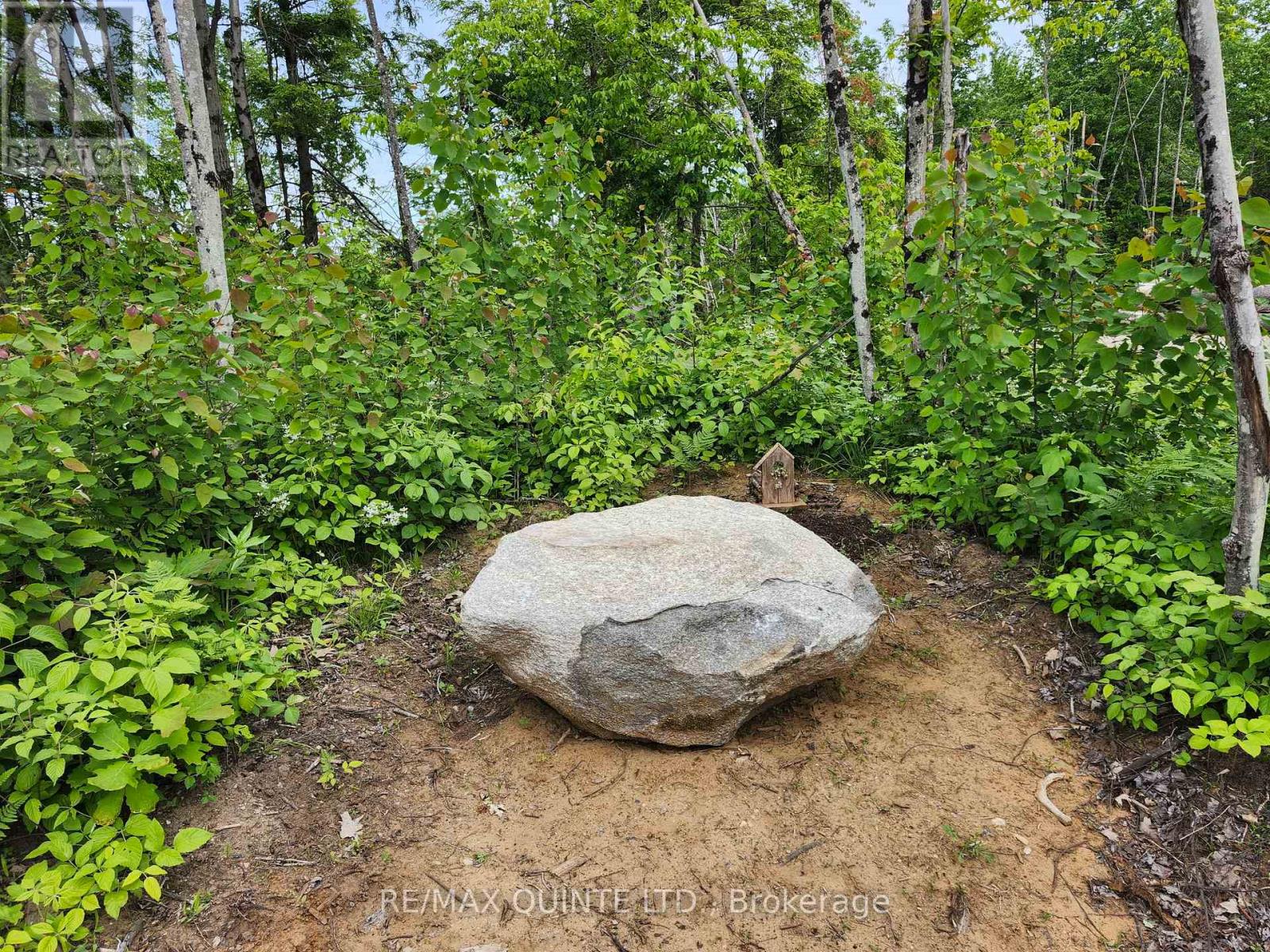 128 Varty Road, Tweed, Ontario  K0K 3J0 - Photo 3 - X12918228