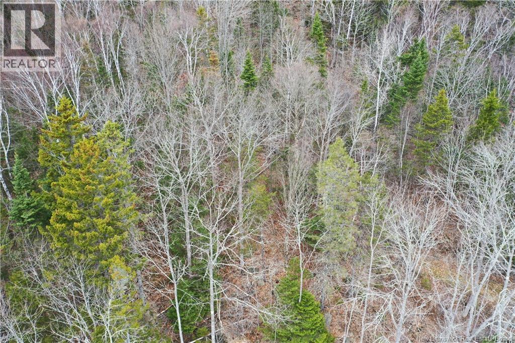 Lot Main Street, Hampton, New Brunswick  E5N 6G8 - Photo 12 - NB137844