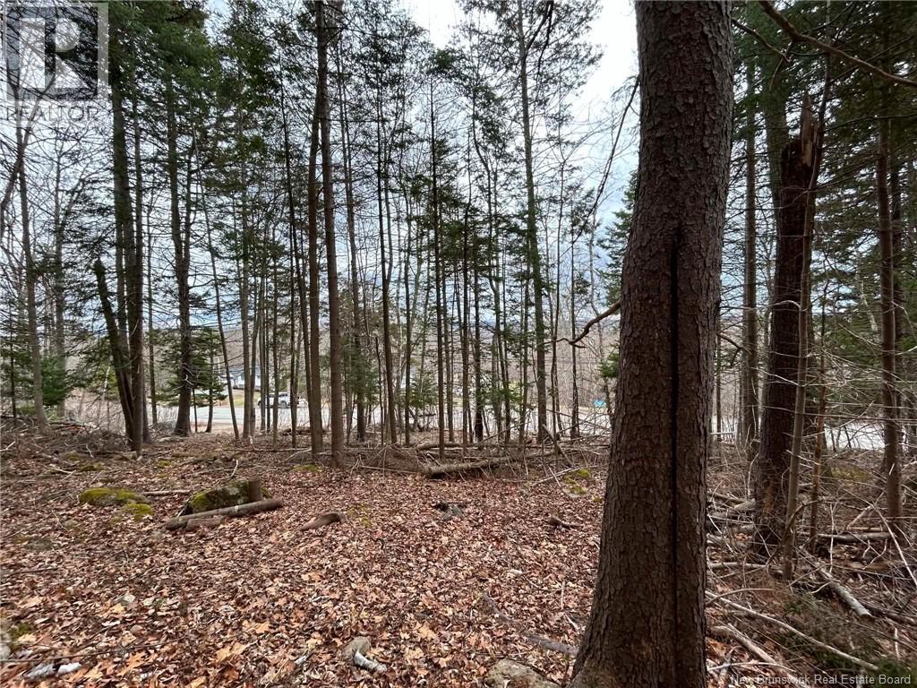 Lot Main Street, Hampton, New Brunswick  E5N 6G8 - Photo 2 - NB137844