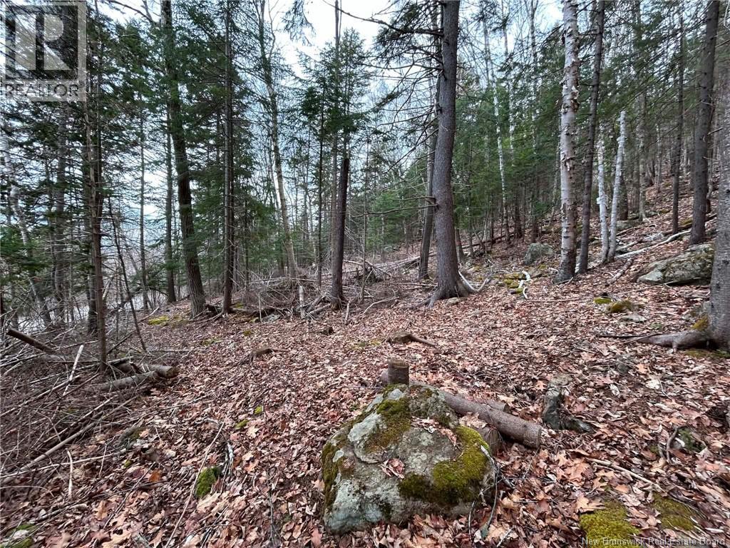 Lot Main Street, Hampton, New Brunswick  E5N 6G8 - Photo 6 - NB137844