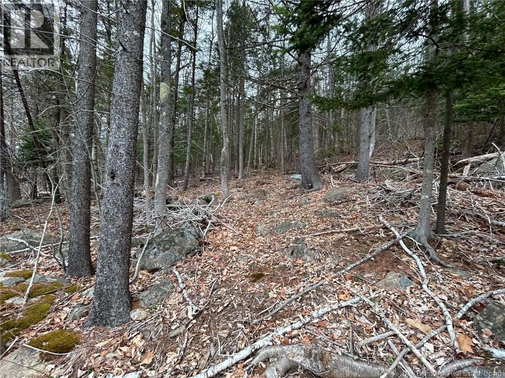 Lot Main Street, Hampton, New Brunswick  E5N 6G8 - Photo 7 - NB137844