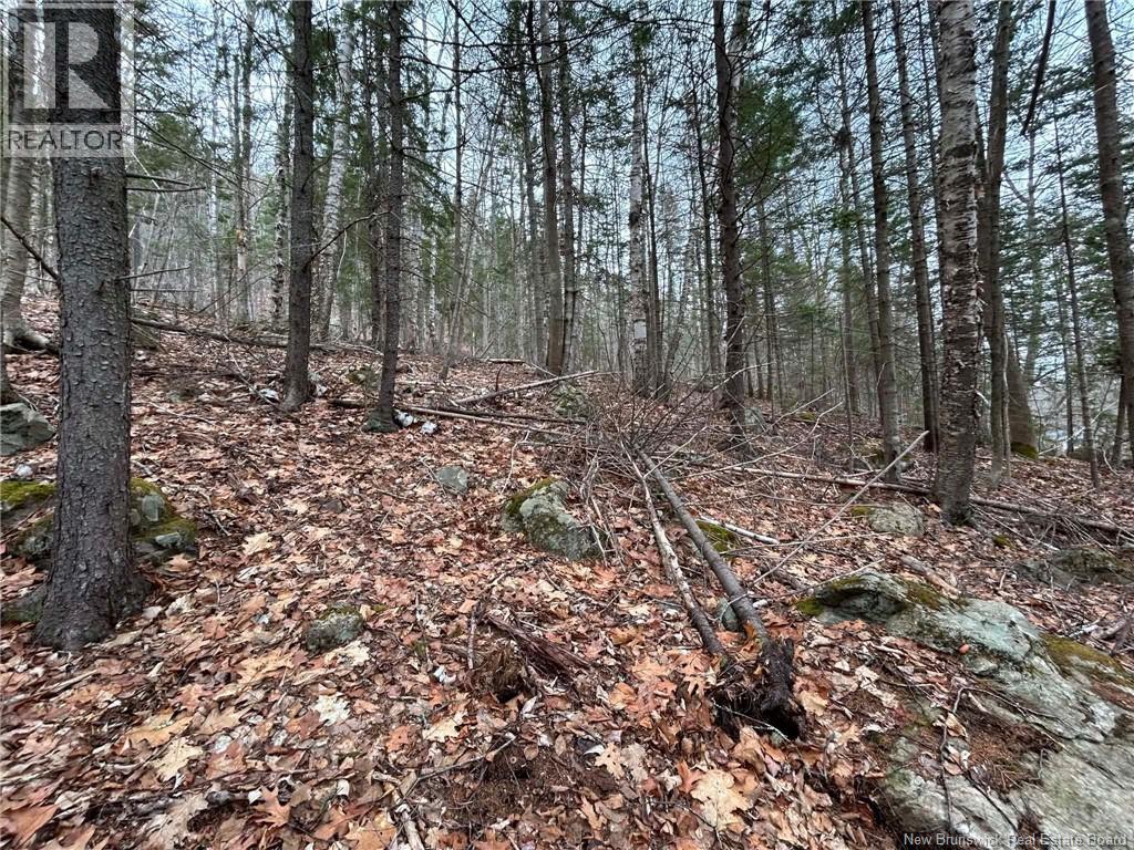 Lot Main Street, Hampton, New Brunswick  E5N 6G8 - Photo 10 - NB137844