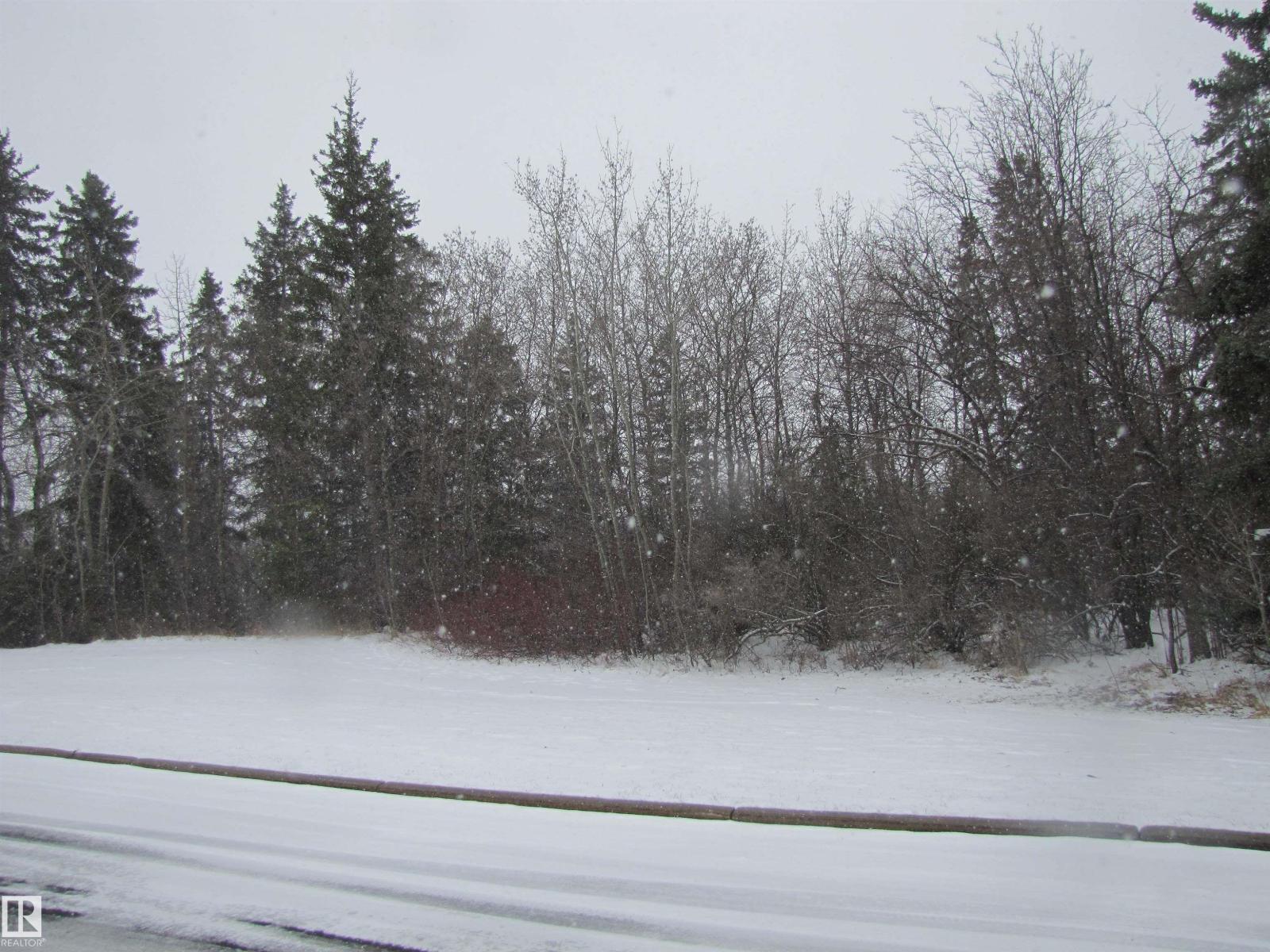 7135 87 St Nw, Edmonton, Alberta  T6G 3G1 - Photo 4 - E4484240