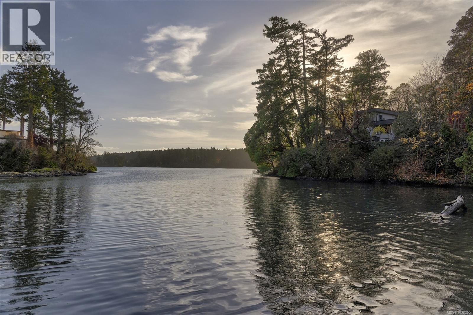 41 Tovey Cres, View Royal, British Columbia