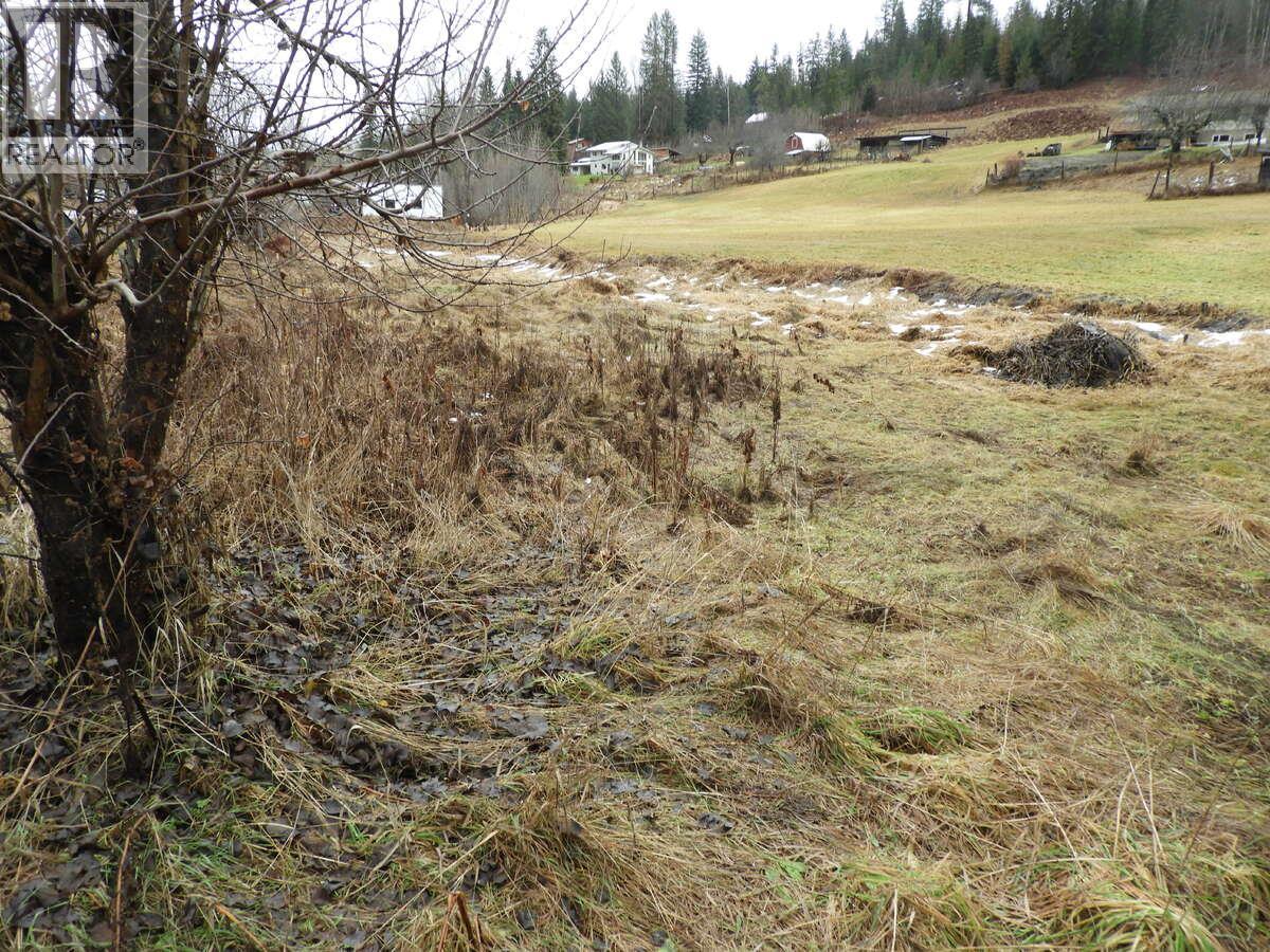 6904 Highway 6, Appledale, British Columbia  V0G 2J0 - Photo 19 - 10371217