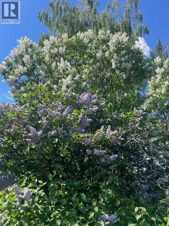 2536 Chicoutimi Drive Nw, Calgary, Alberta  T2L 0W5 - Photo 33 - A2297519